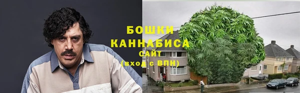 амф Кулебаки