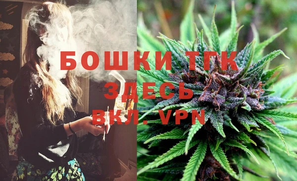 амф Кулебаки