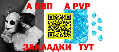 стафф Краснознаменск
