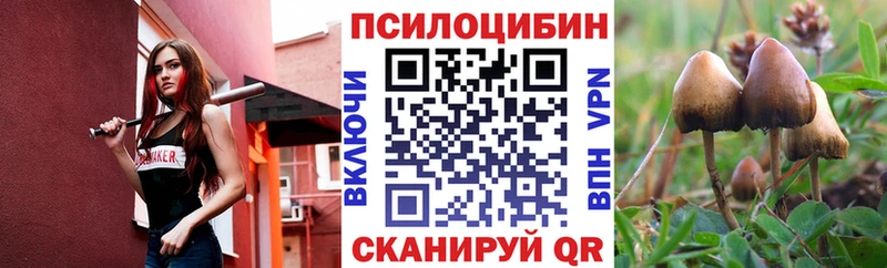 даркнет какой сайт  Моздок  Псилоцибиновые грибы прущие грибы  магазин продажи наркотиков 